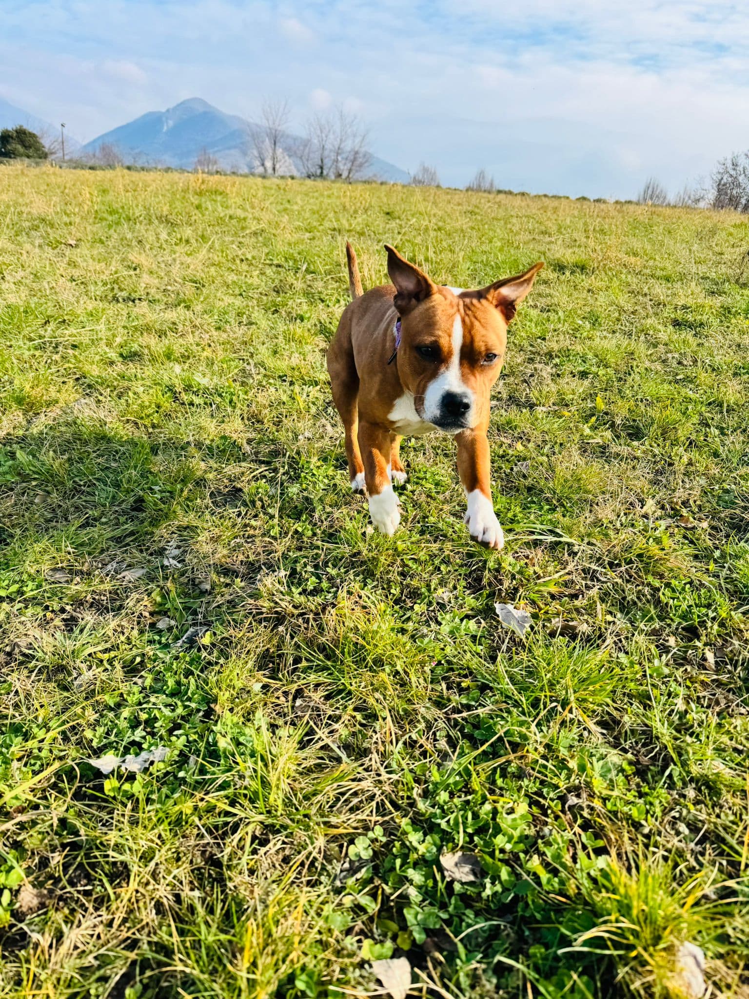 Zoe